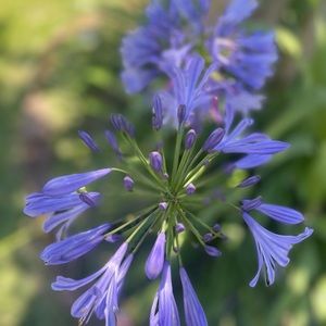 Meet your Posher, Michelle!